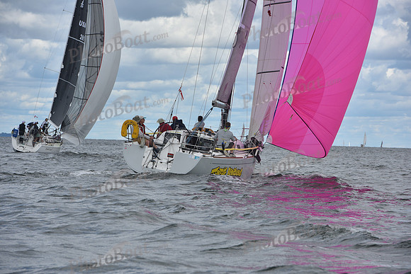 2021 Vineyard Race A 0943