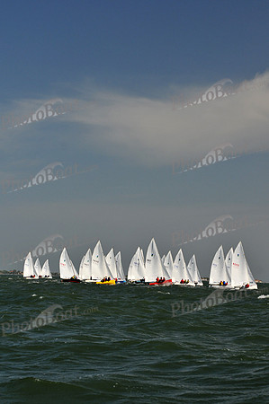 2012 Thistle Midwinters B 484