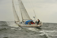 2015 Vineyard Race A 111