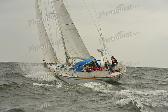 2015 Vineyard Race A 111