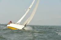 2015 Vineyard Race A 366