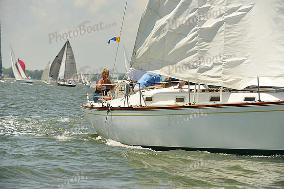 2015 Southern Bay Race Week A 481