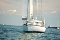2015 Cape Charles Cup C 526