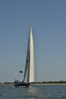 2017 Charleston Race Week A_0016