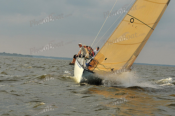 2013 Gov Cup A 2429