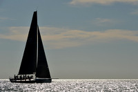 2014 Key West Race Week A 379