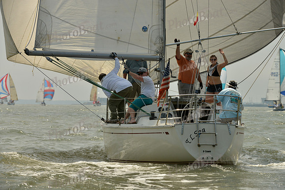2016 Southern Bay Race Week B_0185