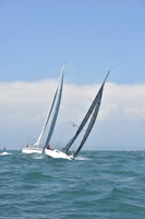 2022 Newport Bermuda_1142