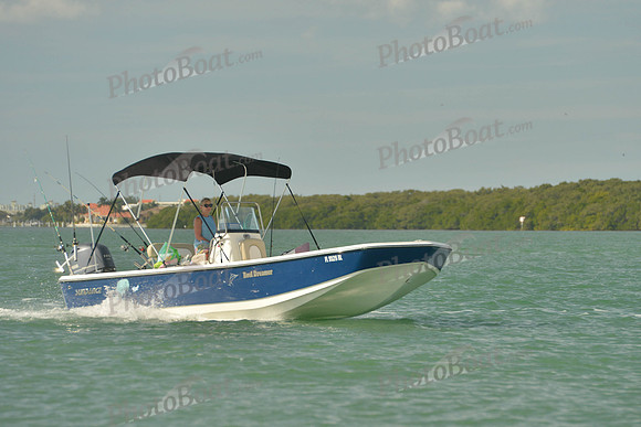 2019 Feb 10 Tampa Bay B_0100