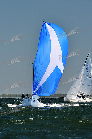 2013 St Pete NOOD_D 1170