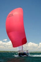 2012 Newport Bermuda 2220