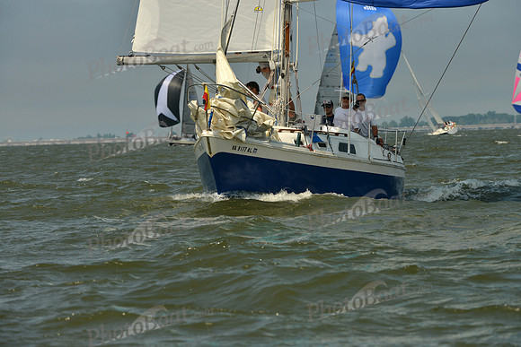 2016 Southern Bay Race Week B_0638