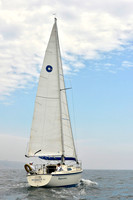 2017 Block Island Race Week D_0371