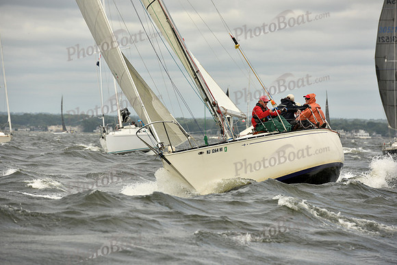 2018 Vineyard Race A_0094
