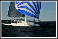 proof_2010_Vineyard_Race_0316