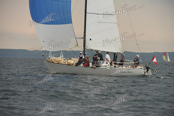 2016 Chester Race Week D_0755