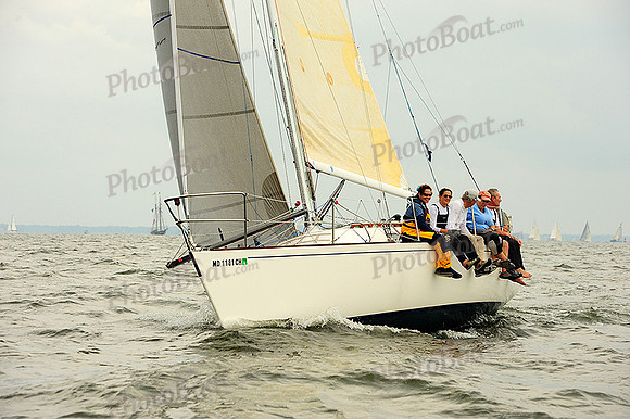 2014 Gov Cup A 1552