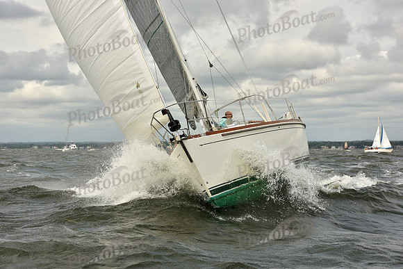 2018 Vineyard Race A_0222