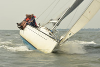 2015 Vineyard Race A 1174
