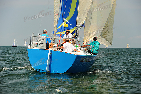 2014 Cape Charles Cup A 948