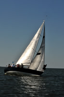 2010 Leukemia Cup 014