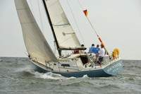 2015 Vineyard Race A 289