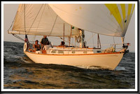 proof_2010 Gov Cup B 706