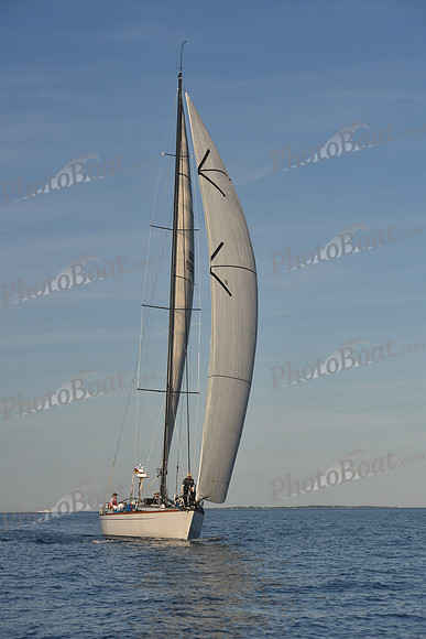 2019 Vineyard Race B_0426