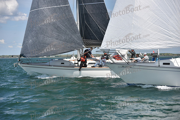 2019 Figawi_0649