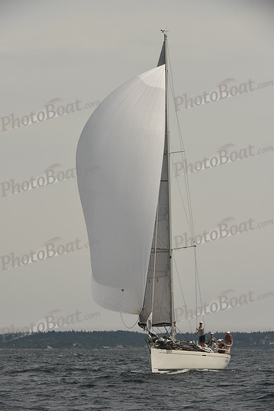 2016 Chester Race Week C_1392
