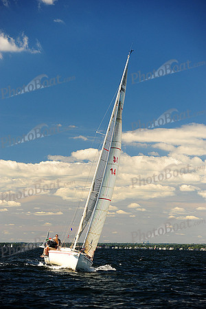 2014 Vineyard Race A 644