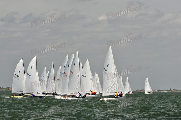 2012 Thistle Midwinters B 1363