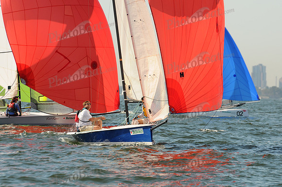 2011 HPDO A 2408