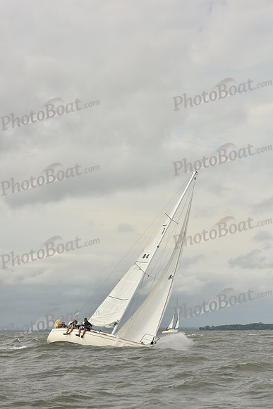 2018 Vineyard Race A_0231