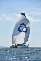 2020 Vineyard Race A_1713