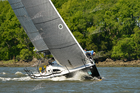 2016 Charleston Race Week F_0115