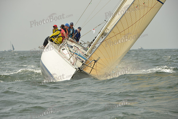 2015 Vineyard Race A 344