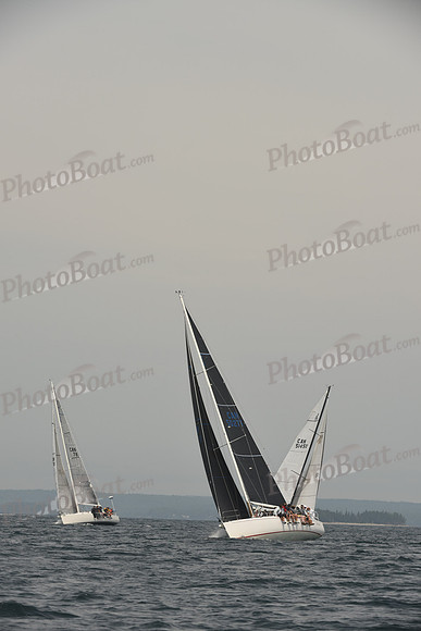 2016 Chester Race Week C_0158