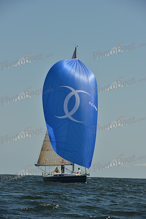 2015 Vineyard Race C 360