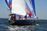 2019 Vineyard Race A_0481