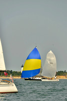 Isurus