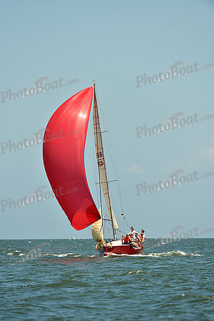 2015 Southern Bay Race Week C 1353