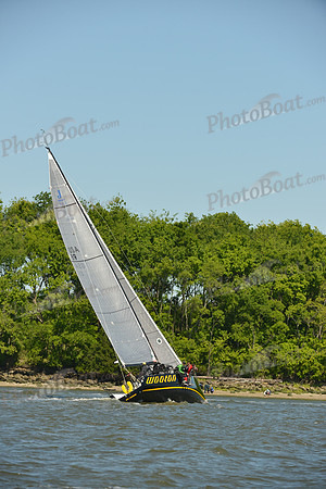 2016 Charleston Race Week F_0324