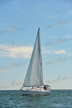 2015 Cape Charles Cup A 1294