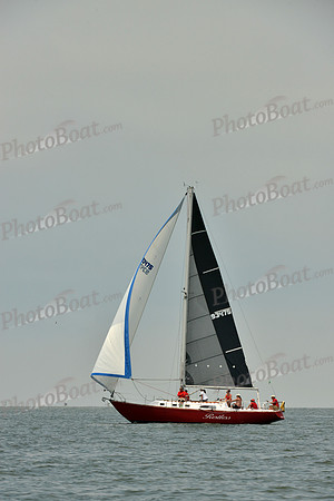 2016 Southern Bay Race Week E_0557
