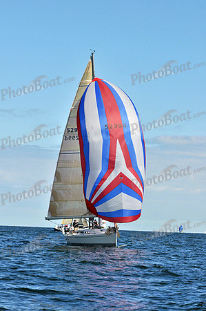 2010 IRC LIS 1611