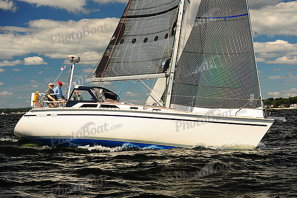 2014 Vineyard Race A 237