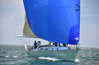 2019 Figawi_1342