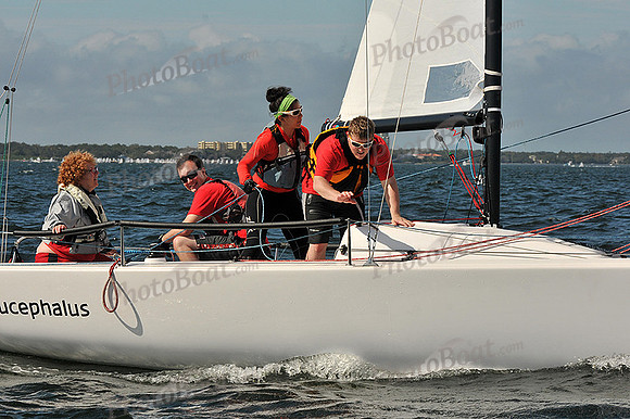 2014 J70 Winter Series A 973