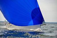 2017 Vineyard Race A_1877
